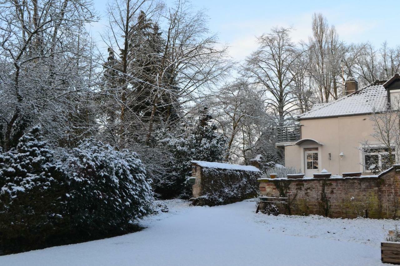 La Licorne Bed and Breakfast Lamarche-Sur-Saone Eksteriør billede